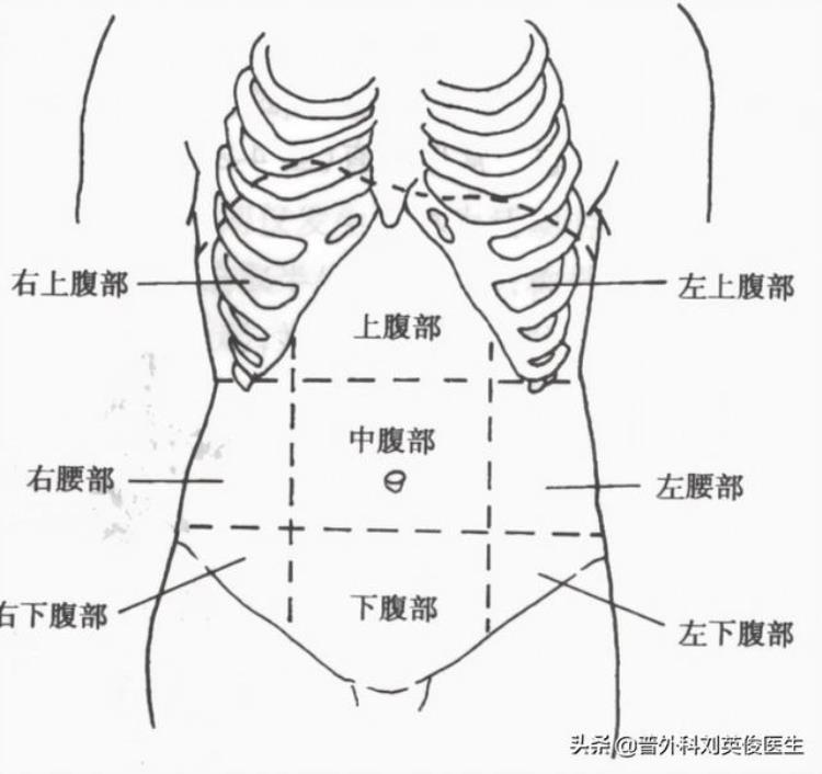 左侧腹部疼痛的可能病因「出现左侧腹部疼有哪些常见的病因该咋办医生给您详细讲清楚」