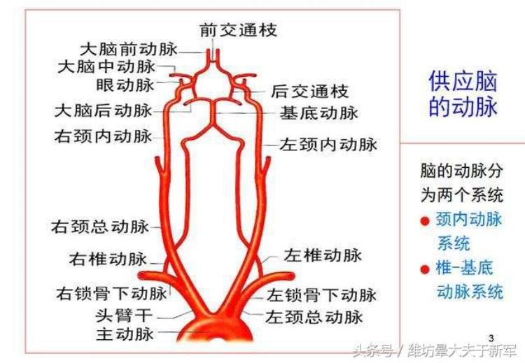 多普勒显示脑供血不足「看过来做经颅多普勒提示脑供血不足是这个原因引起眩晕吗」