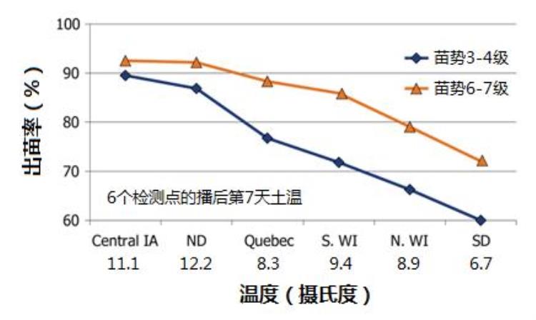 玉米出苗土壤温度品种冷害都有哪些影响「玉米出苗土壤温度品种冷害都有哪些影响」