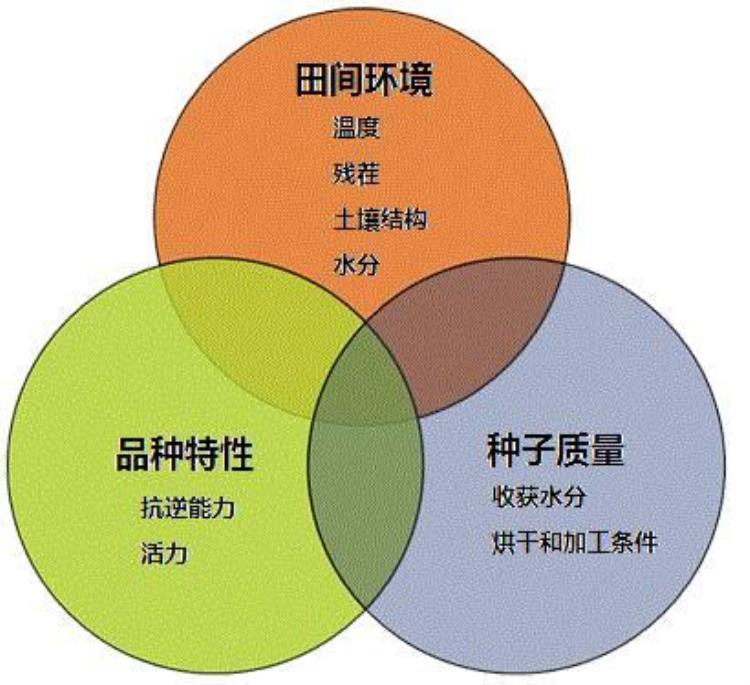 玉米出苗土壤温度品种冷害都有哪些影响「玉米出苗土壤温度品种冷害都有哪些影响」