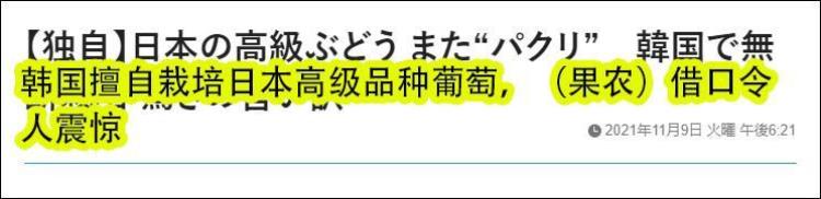 为什么农民不自己留种子「农民为啥不再自留种子留种为啥会减产真的不是育种公司的阴谋」