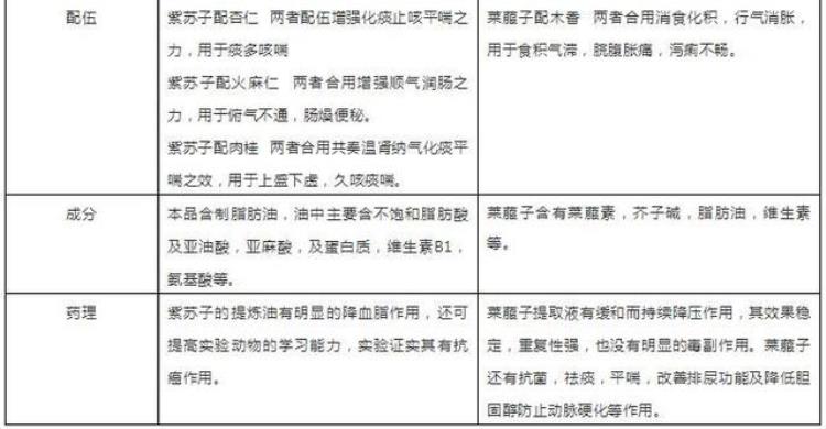 萝卜种子有什么作用「萝卜种子是一味好药经常吃会收获这些好处别再偷着乐了」