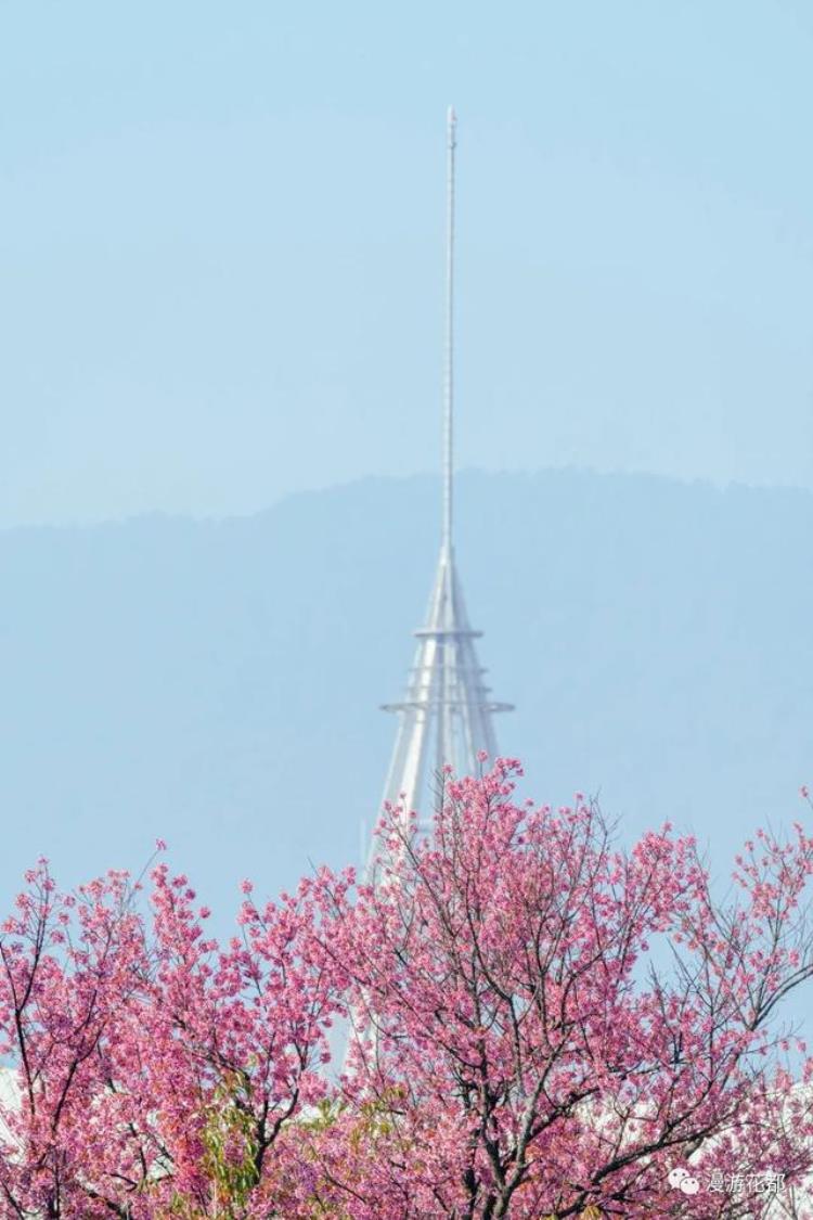 昆明篮球赛「原因已查清昆明蓝又回来了」