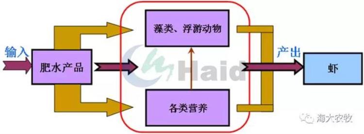 冬季稻虾常肥水等于给小龙虾屯粮加棉被为龙虾健康生长添砖加瓦