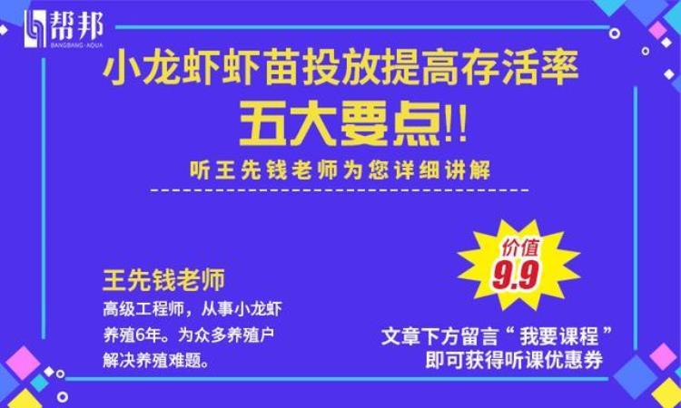 冬季稻虾常肥水等于给小龙虾屯粮加棉被为龙虾健康生长添砖加瓦