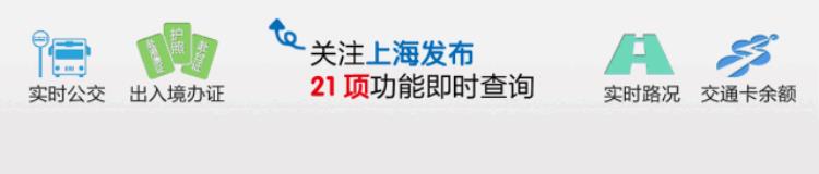 行道树修剪注意事项「申城行道树正在卸妆冬季为啥一定要修剪原因在此」