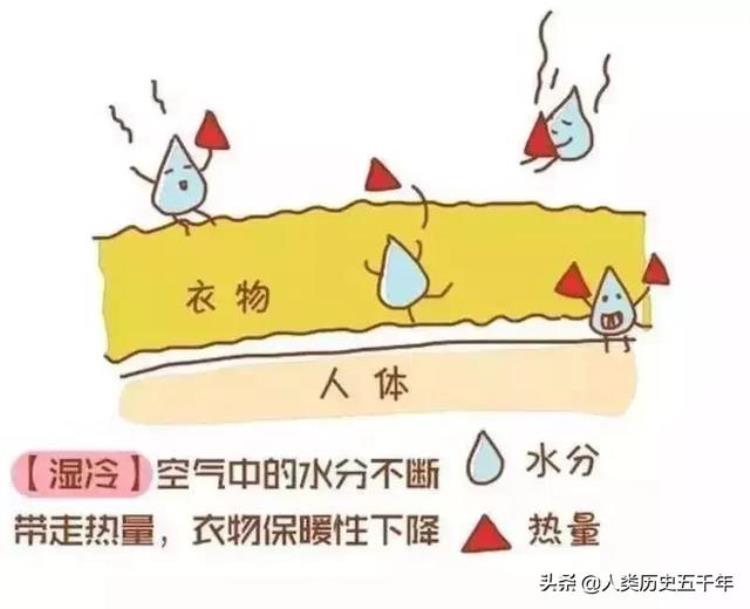 为什么腊七腊八最冷,腊八大寒为什么寒