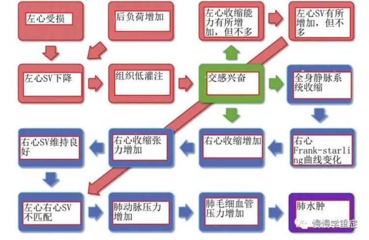 肺水肿 百科,怎么知道自己得了肺水肿