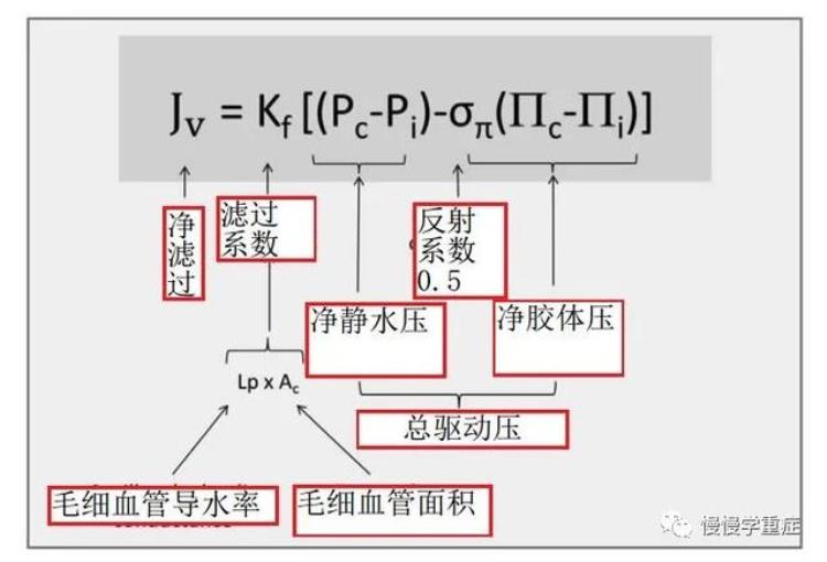 肺水肿 百科,怎么知道自己得了肺水肿