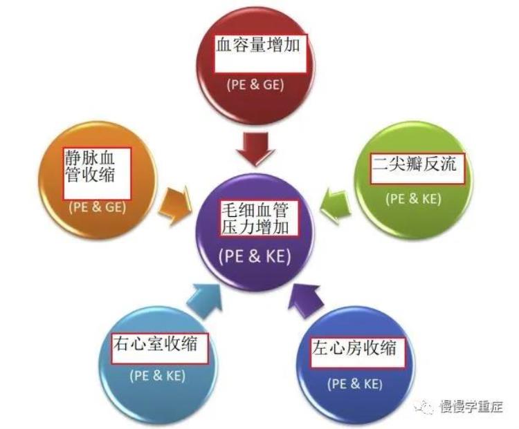 肺水肿 百科,怎么知道自己得了肺水肿