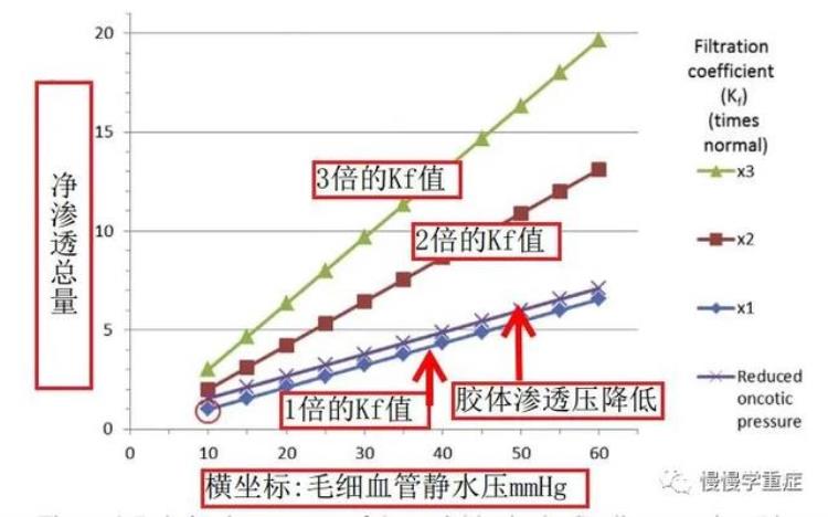 肺水肿 百科,怎么知道自己得了肺水肿