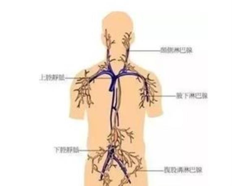 长春国文医院怎么样「网友质疑长春国文医院收费有些费用不提前告知患者」