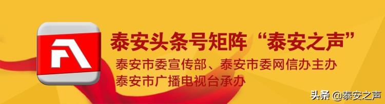 泰安市水资源公报「泰安获补偿资金461万元山东公布2019年度地表水生态补偿考核结果」