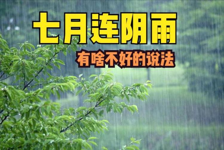 7月老下雨,秋老虎指的是什么意思