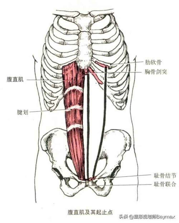 腹肌不对称怎么练「腹肌干货腹肌不对称的原因如何高效训练腹肌正确的下腹训练」