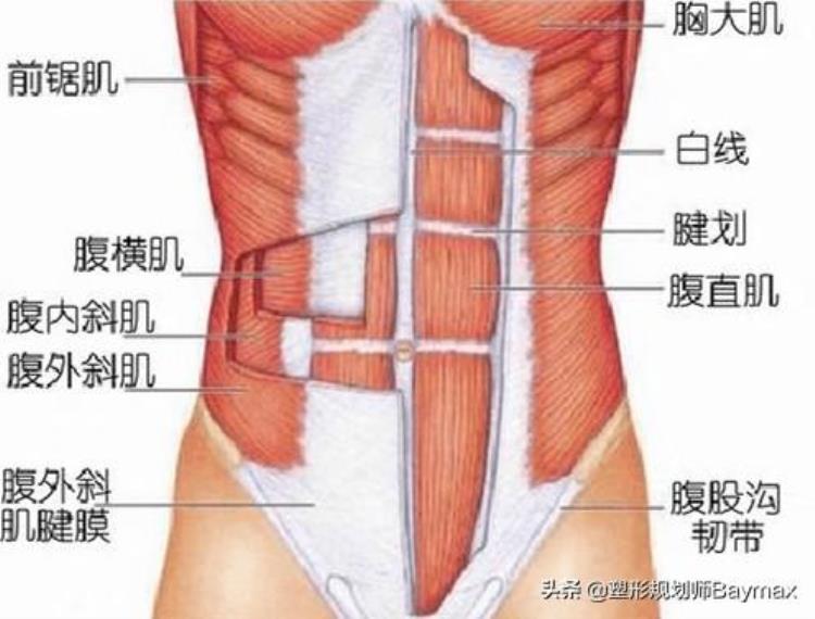 腹肌不对称怎么练「腹肌干货腹肌不对称的原因如何高效训练腹肌正确的下腹训练」