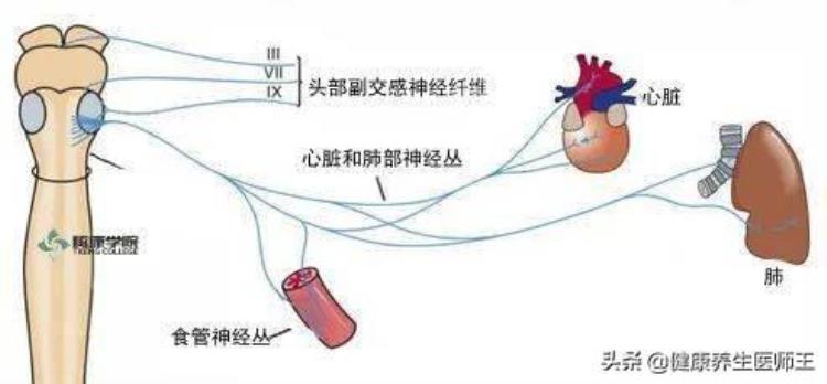 健康之路胸痛「生命健康之胸痛」