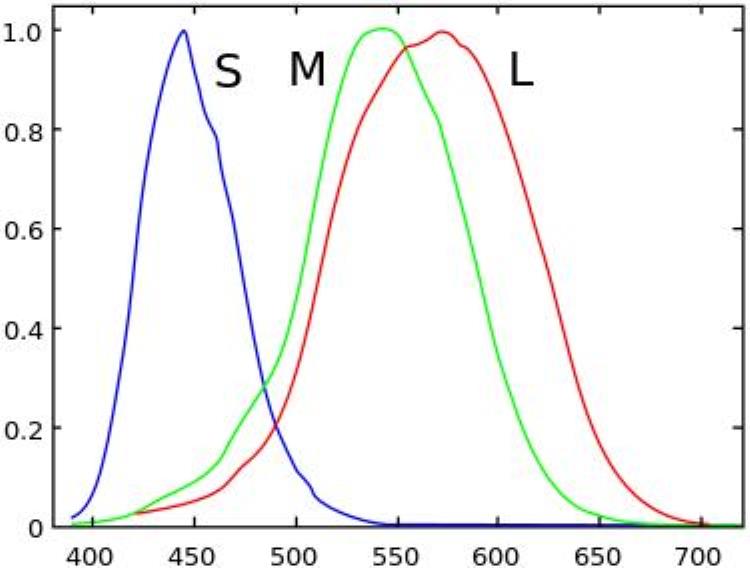 颜色的科学知识「是时候给你点颜色看看了带你揭秘颜色的科学」