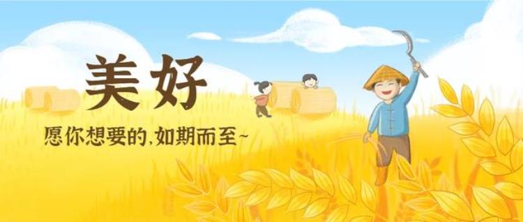 苍兰诀结局是我见过最神的大结局是什么「苍兰诀结局是我见过最神的大结局」