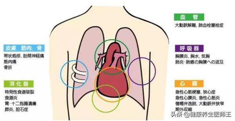 健康之路胸痛「生命健康之胸痛」