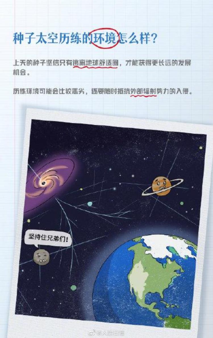 为何要送种子上太空「知识帖为什么要送种子上太空」