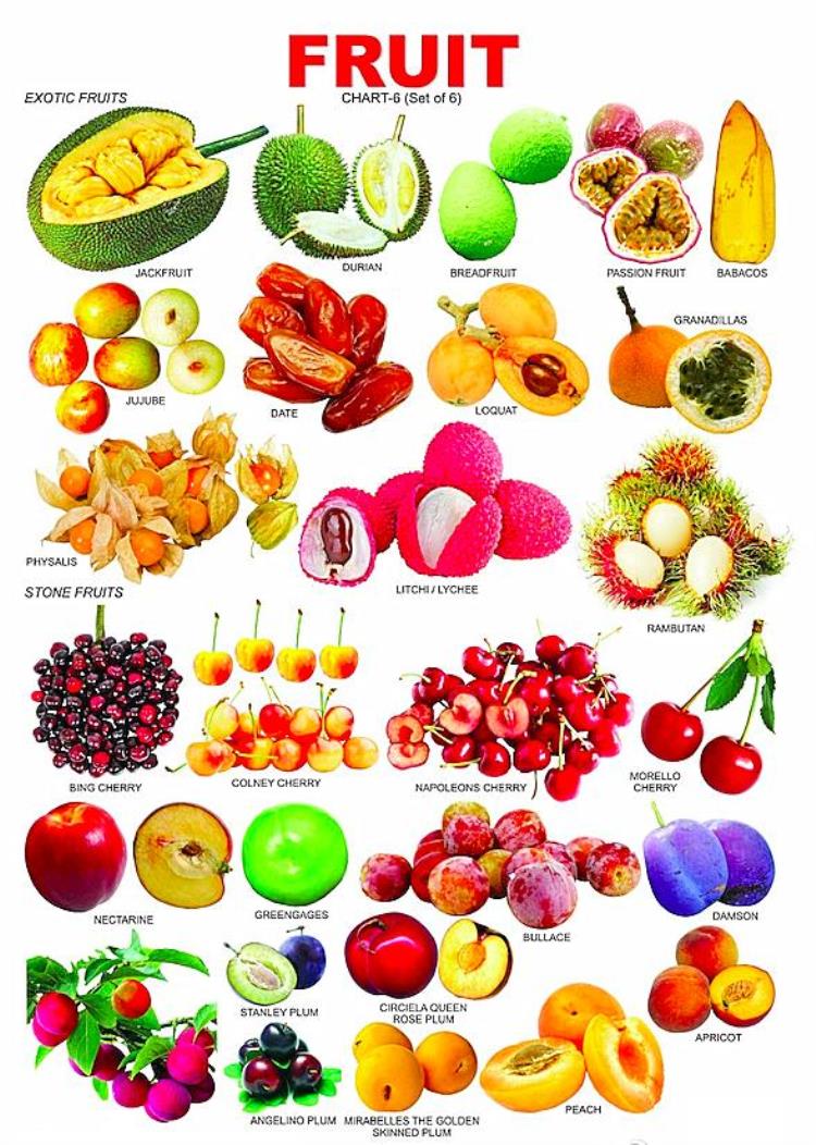 水果的英文合集「各种水果的英语翻译」