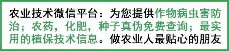 学会这些问题你就真正懂肥料了吗「学会这些问题你就真正懂肥料了」