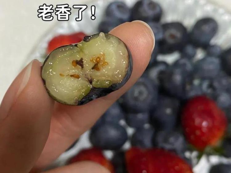 蓝莓种植指南实现蓝莓自由啦爆果的秘密准备种的看看?