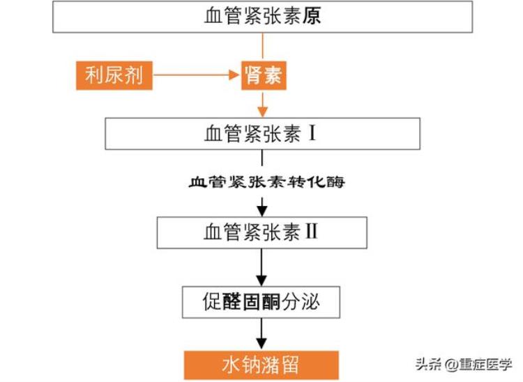 速尿(呋塞米)「关于呋塞米速尿你至少应知道这5点」