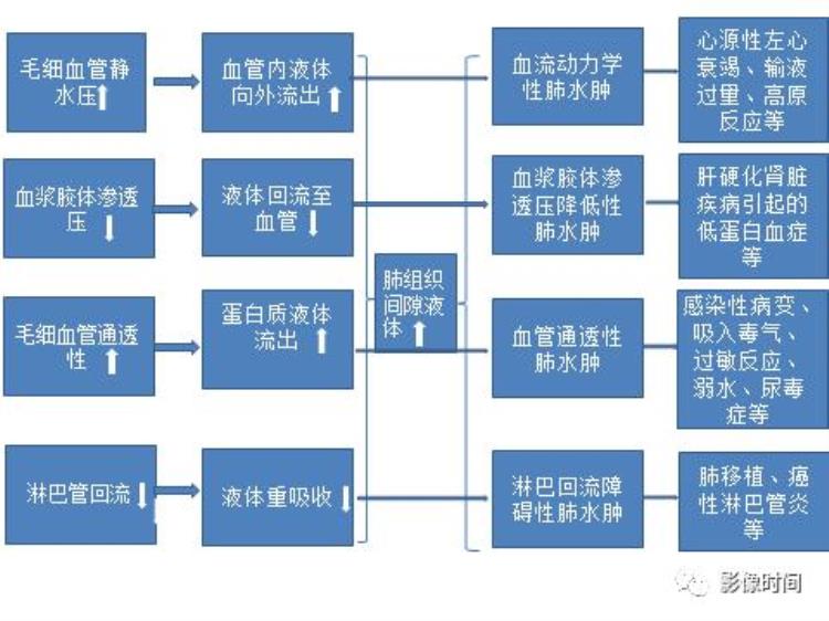 肺水肿是什么病?「一文读懂肺水肿你get了吗」