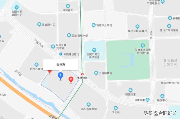 合肥地铁口房价是多少「被严重高估的合肥房价在各区买一套地铁口三房需要多少钱」