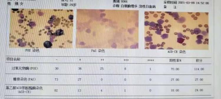 慢粒单吧「慢粒单还是急单一波三折终见分晓」