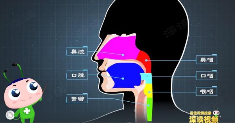 喉咙发痒干呕是怎么回事「喉咙发痒咋回事还恶心干呕生活中这件事竟能搞出慢性咽炎」