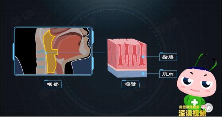 喉咙发痒干呕是怎么回事「喉咙发痒咋回事还恶心干呕生活中这件事竟能搞出慢性咽炎」