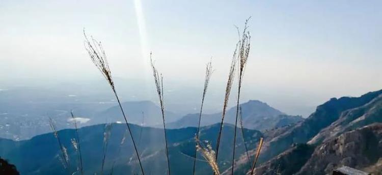 河山风景区门票一卡通「河山风景区开园啦速来打卡文中有福利」