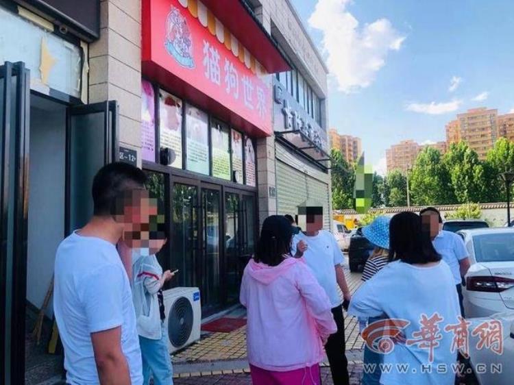 西安多名顾客在同一宠物店买宠物带回家后短短几天就病死