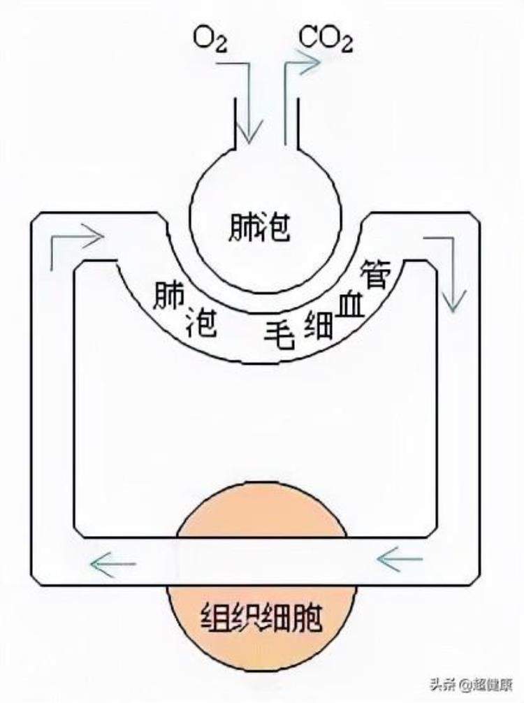 潜水艇里治疗缺血性视神经病变郑州这家医院有200个免费治疗惠民活动