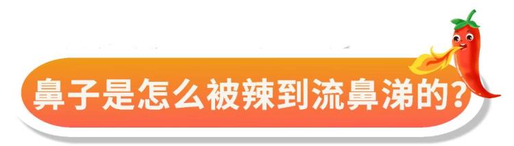 一吃辣就流清鼻涕你可能是味觉性鼻炎嘛「一吃辣就流清鼻涕你可能是味觉性鼻炎」