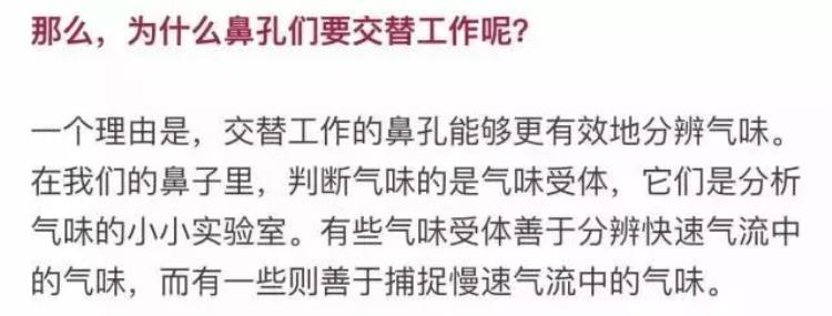 为什么感冒鼻子一边通气一边不通气「为什么感冒时一边鼻子通一边不通」