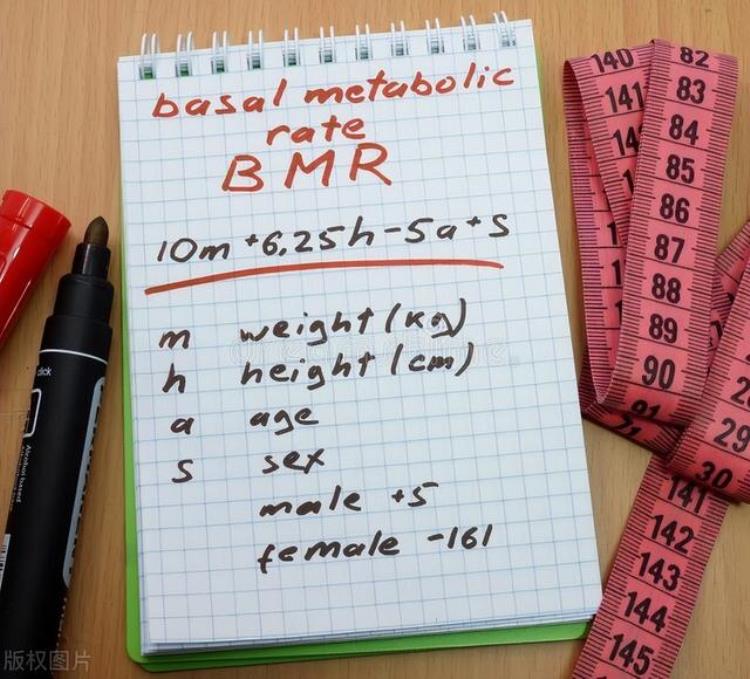 基础代谢减脂公式「减肥你吃够基础代谢了吗一条公式教你计算基础代谢」