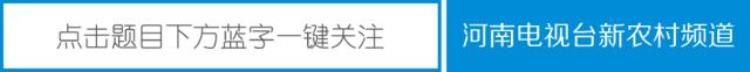 郑机城际列车「人气去哪了20分钟到机场这么方便的郑机城铁为啥受冷遇」