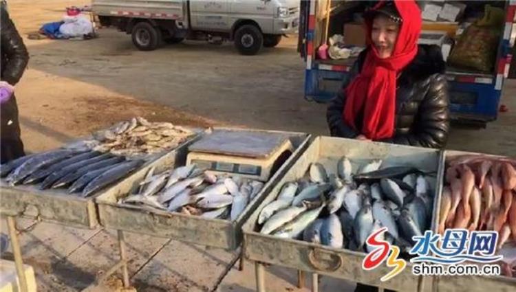 烟台海鲜大餐「烟台海鲜姐登上央视草根明星热爱唱歌」