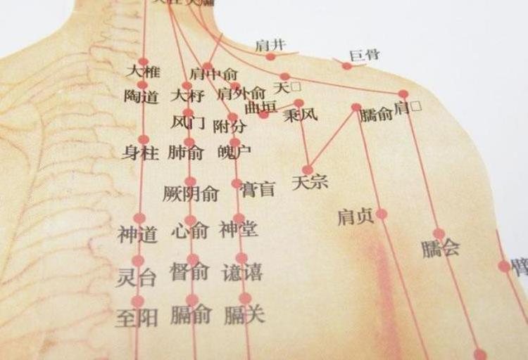 50岁的人最佳睡眠时间是什么时候「人过了50岁后最佳睡觉时间是多少你真的睡对了吗」