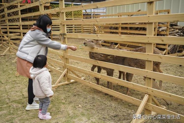 广州白云国际机场附近有什么好玩的「离广州白云机场3公里处有个超好玩的文旅小镇」