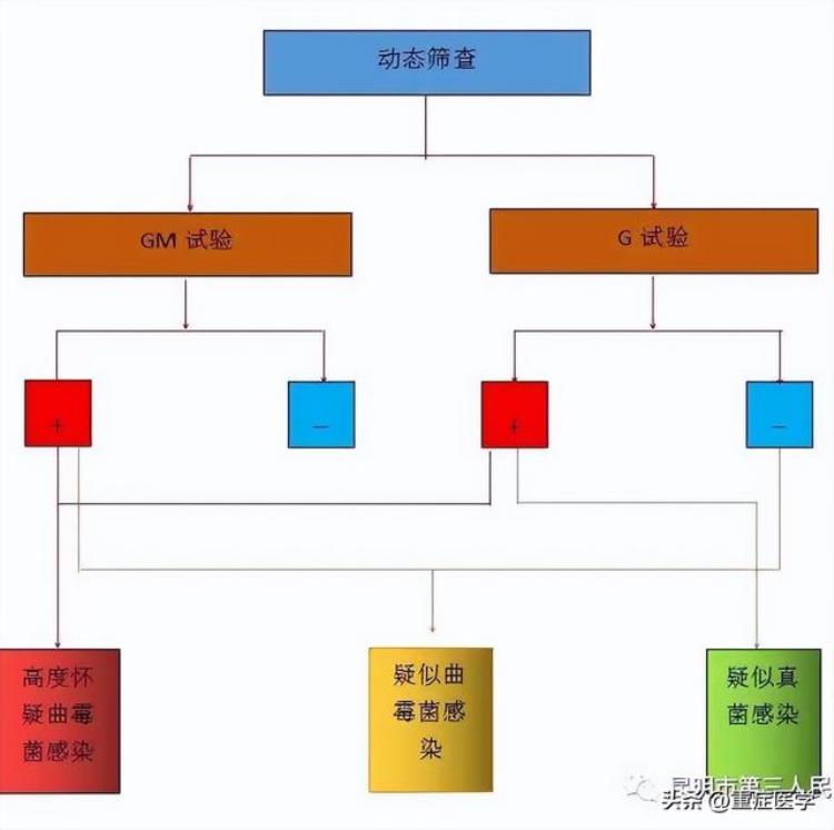 g试验与gm试验的区别与临床意义「G试验与GM试验的区别与临床意义」