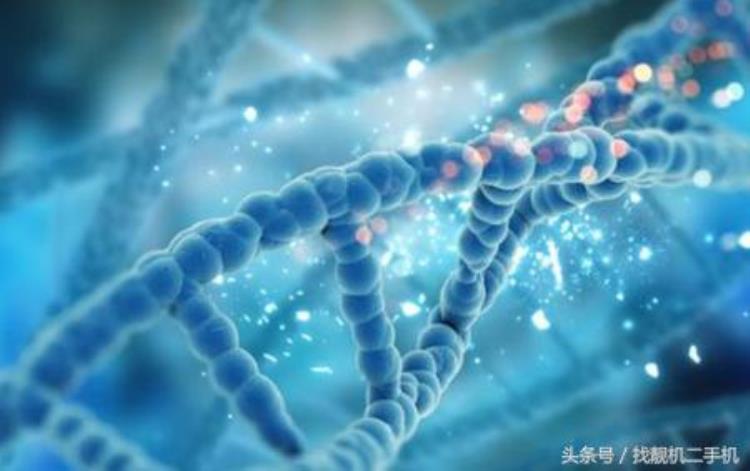 为什么科学家总是用小白鼠做实验「为什么用小白鼠做实验不用老鼠」