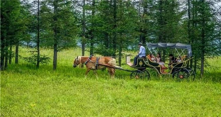 松山区皇家漫甸旅游区门票「印象松山皇家漫甸旅游区」