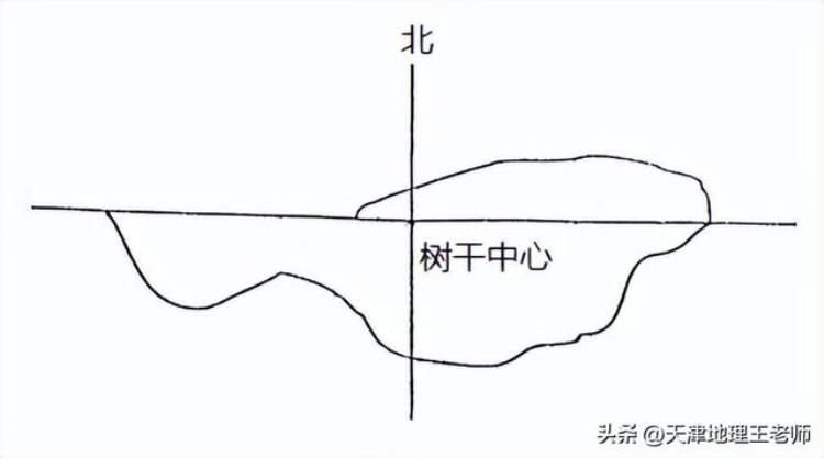 高考调研衡水重点中学新课标地理「河北省衡水中学20212022学年高三上学期五调考试地理试题」