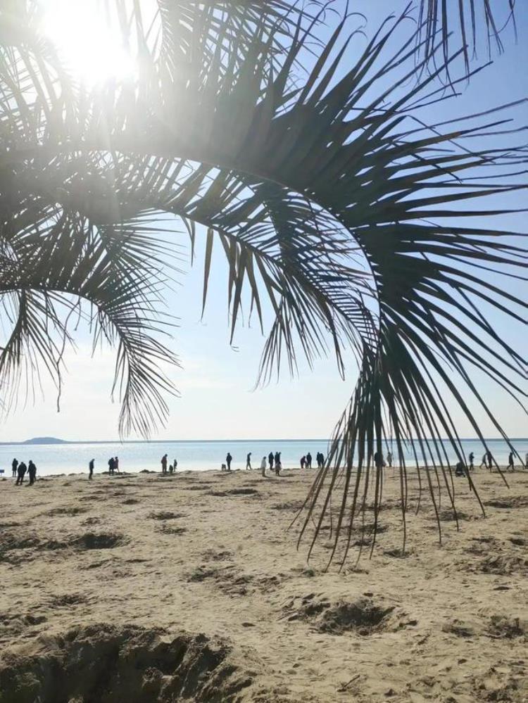 临海白沙湾的海是怎么弄的「临海白沙湾隐藏的浙江小三亚夏日免费带娃游玩好去处」