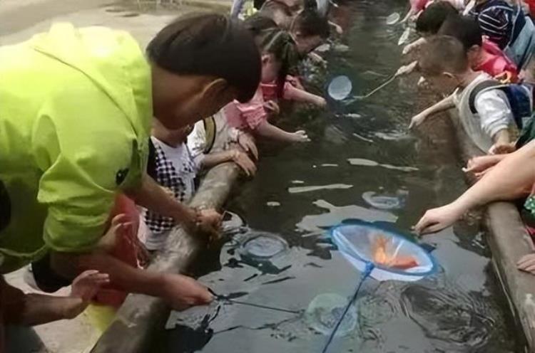 花都欢乐谷休闲科教农场门票「花都欢乐谷休闲科教农场2大1小亲子票499元起假期游玩好去处」